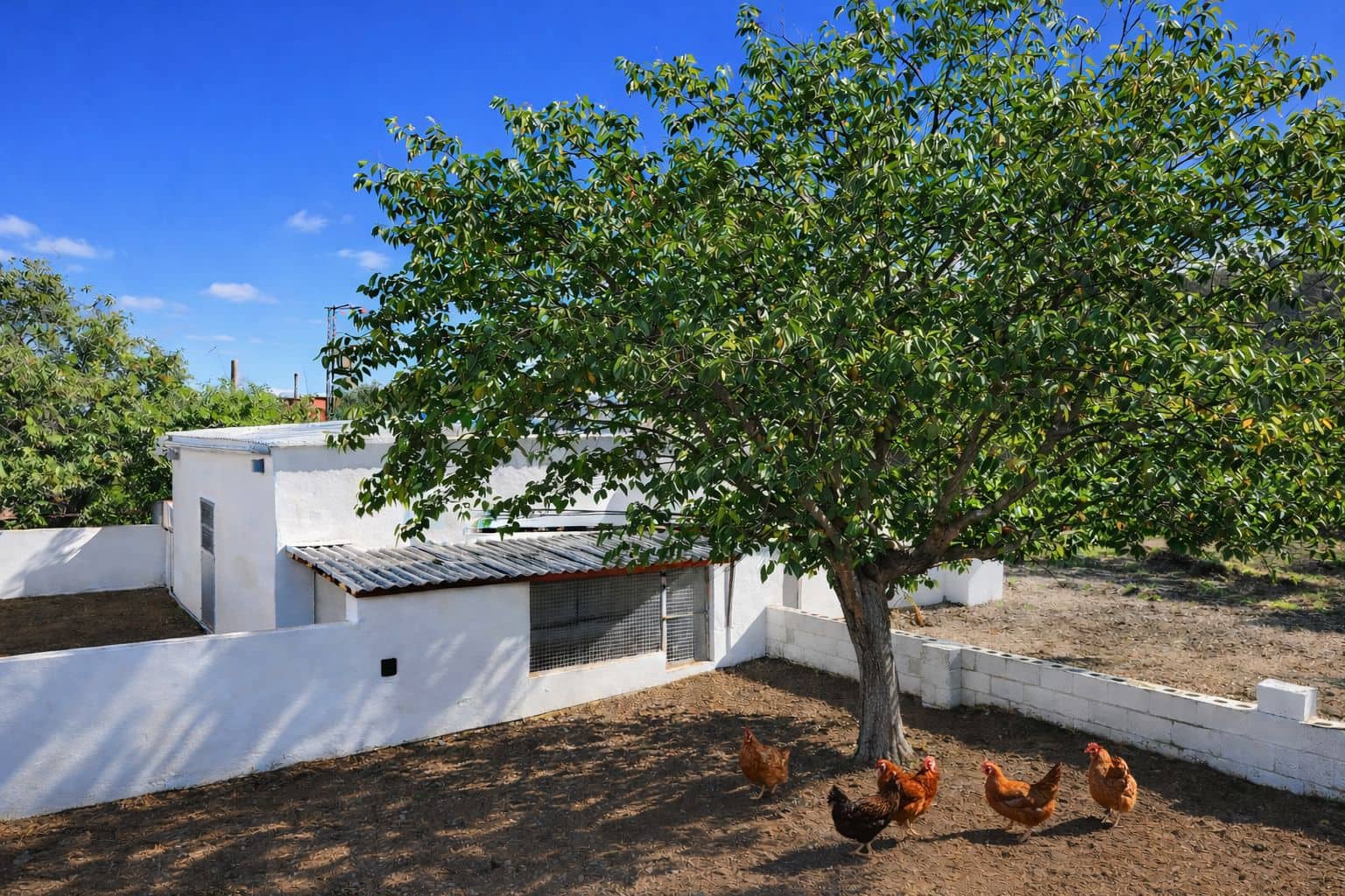 3 bedroom Finca/Country House for sale in Pego with garage - € 255,000 (Ref: 9483582)