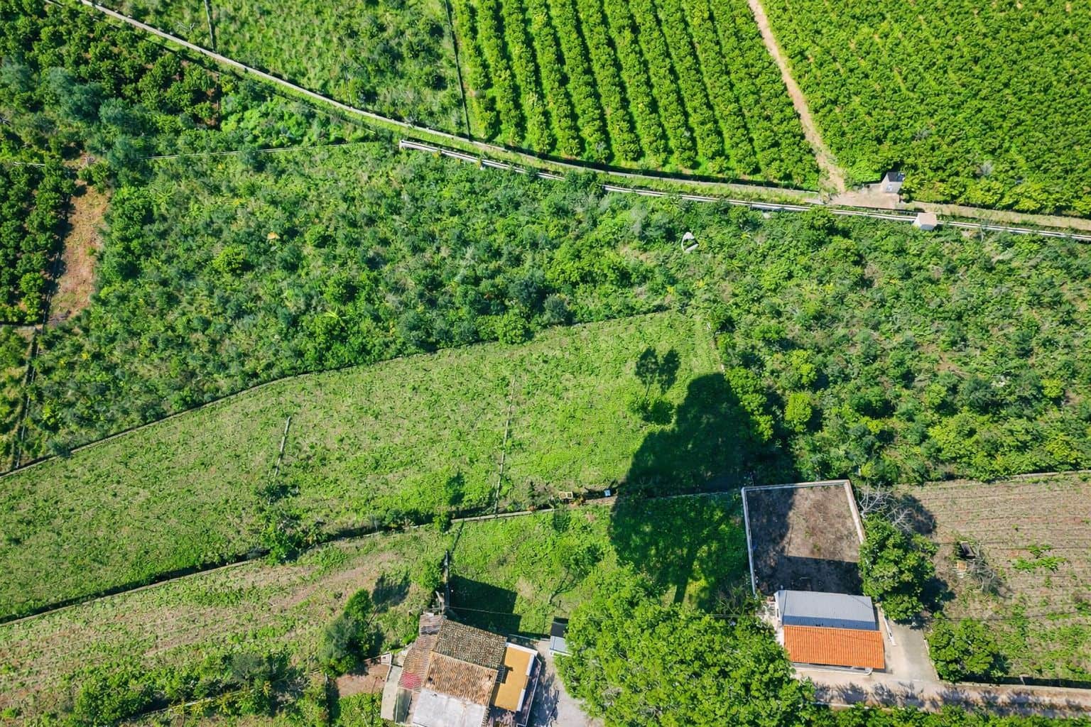 3 bedroom Finca/Country House for sale in Pego with garage - € 255,000 (Ref: 9483582)