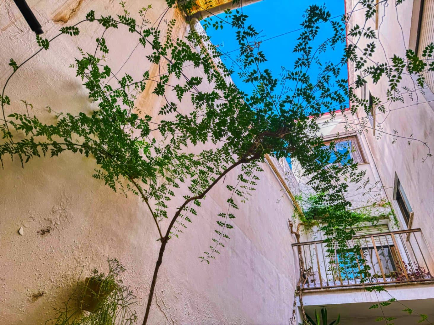 7 slaapkamer Huis te koop in Pego met garage - € 259.000 (Ref: 9618377)