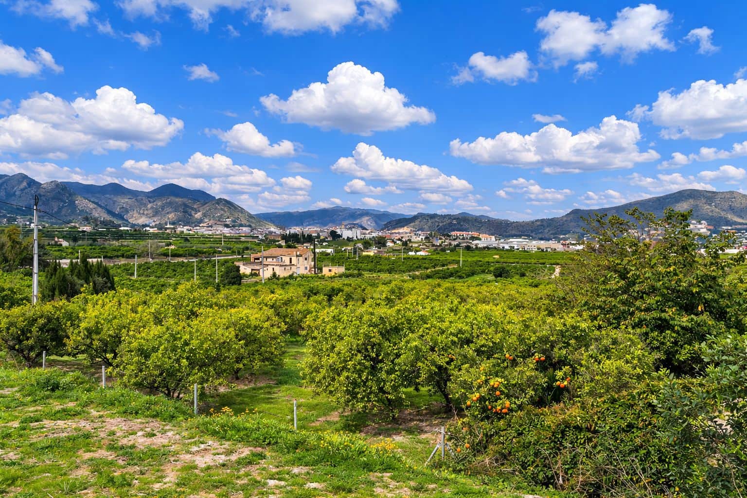 Finca/Casa Rural en Pego en venta con garaje - 130.000 € (Ref: 9665257)