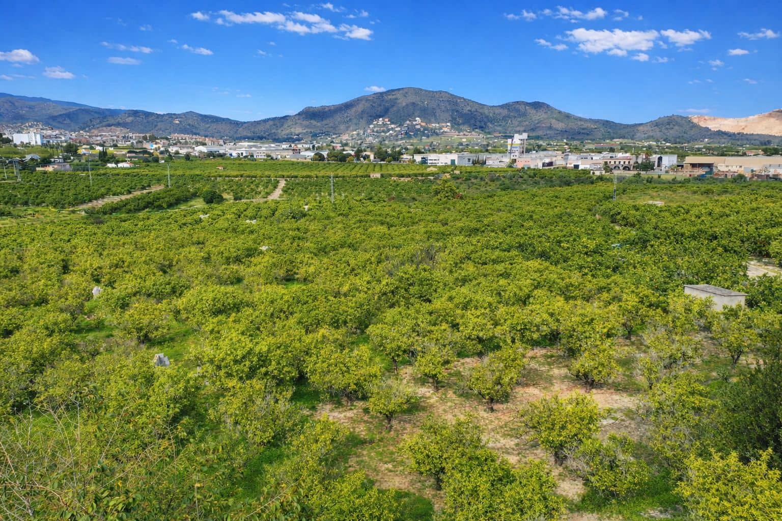 Finca/Casa Rural en Pego en venta con garaje - 130.000 € (Ref: 9665257)