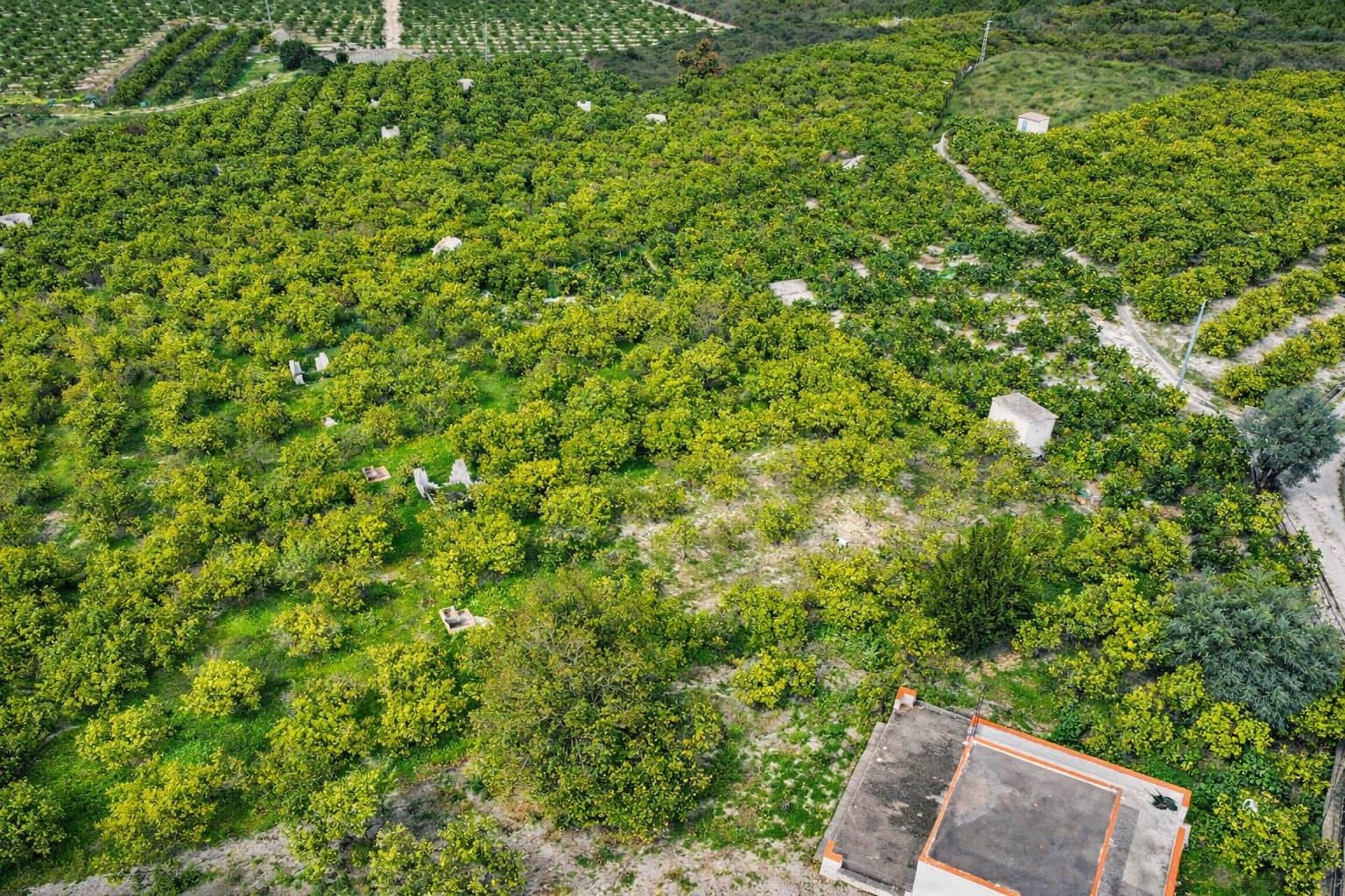 Finca/Casa Rural en Pego en venta con garaje - 130.000 € (Ref: 9665257)