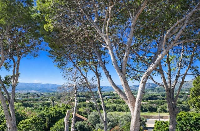 10 camera da letto Finca/Casa di Campagna in vendita in Ondara con piscina garage - 1.050.000 € (Rif: 9714289)