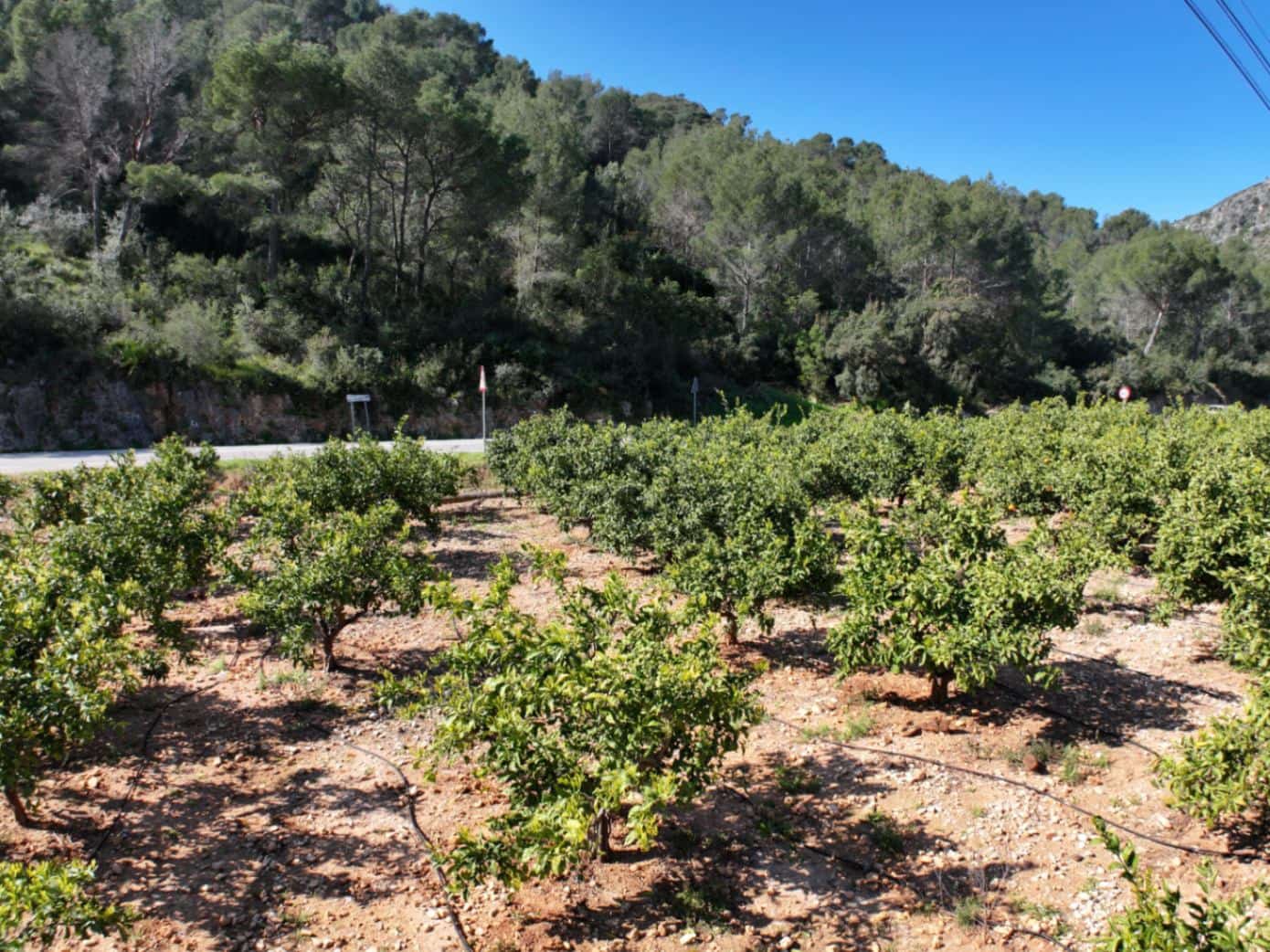 Finca/Herregård til salgs i L'Atzuvia - € 75 000 (Ref: 9747262)