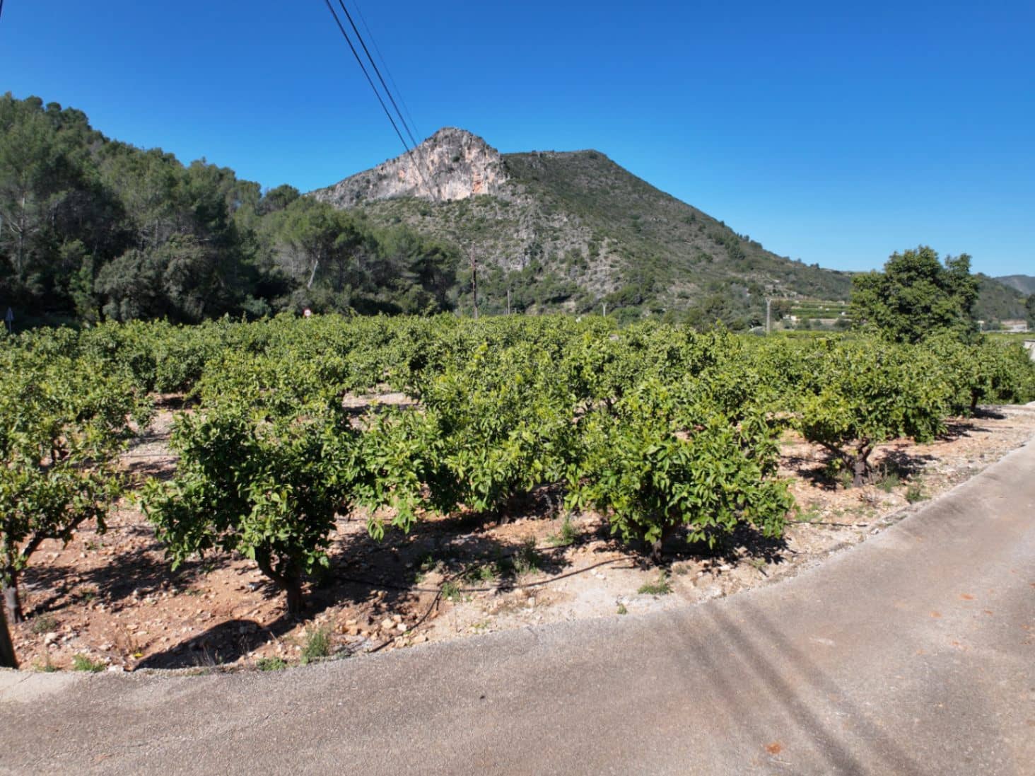 Finca/Herregård til salgs i L'Atzuvia - € 75 000 (Ref: 9747262)