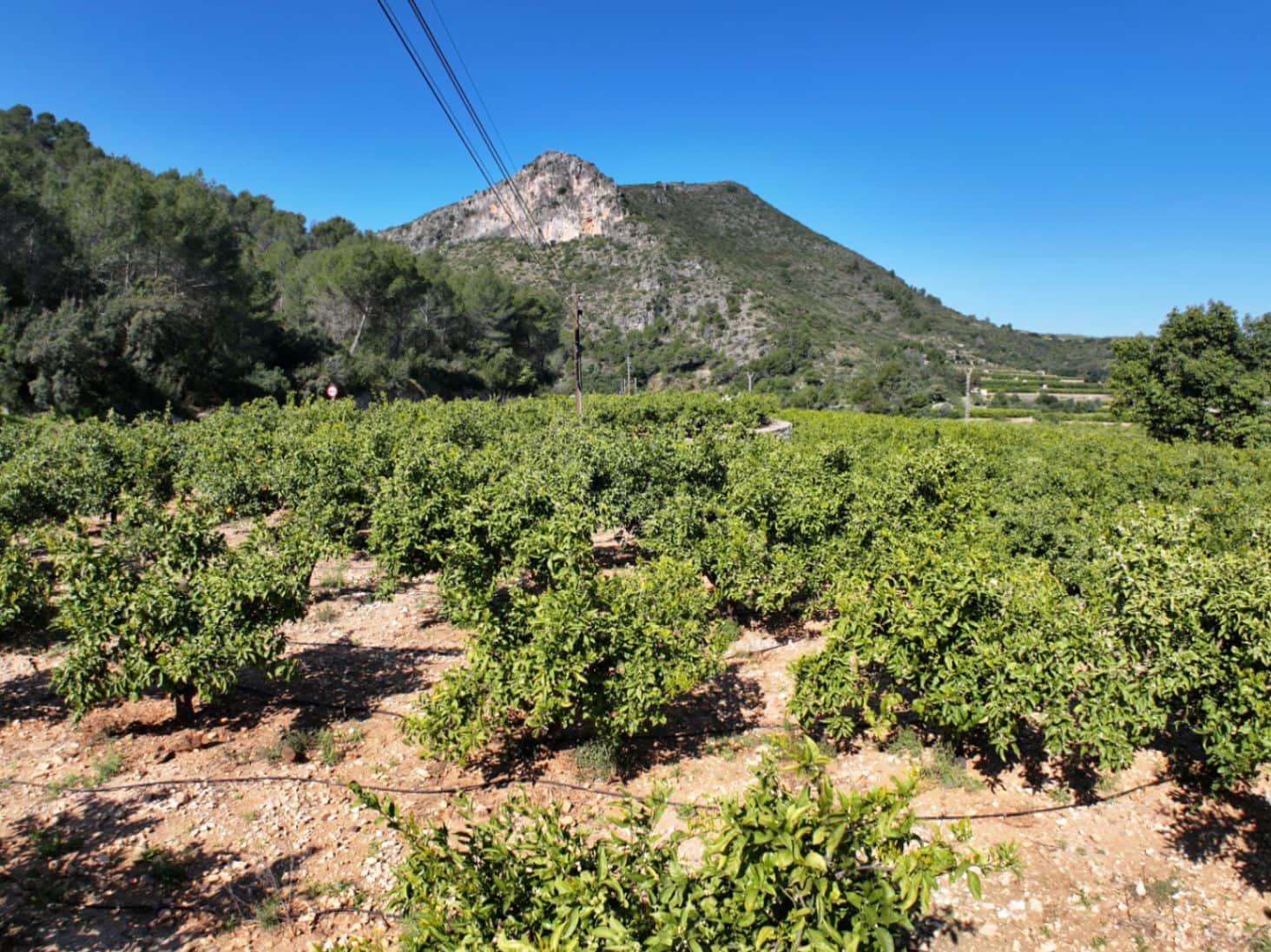 Finca/Herregård til salgs i L'Atzuvia - € 75 000 (Ref: 9747262)