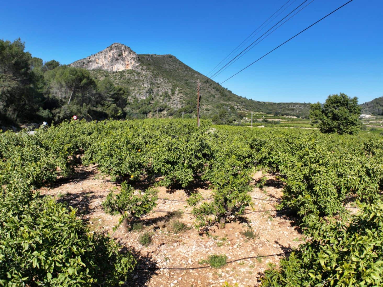 Finca/Herregård til salgs i L'Atzuvia - € 75 000 (Ref: 9747262)