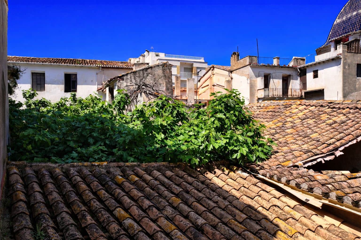 Maison de Ville à vendre à Pego - 250 000 € (Ref: 9793744)