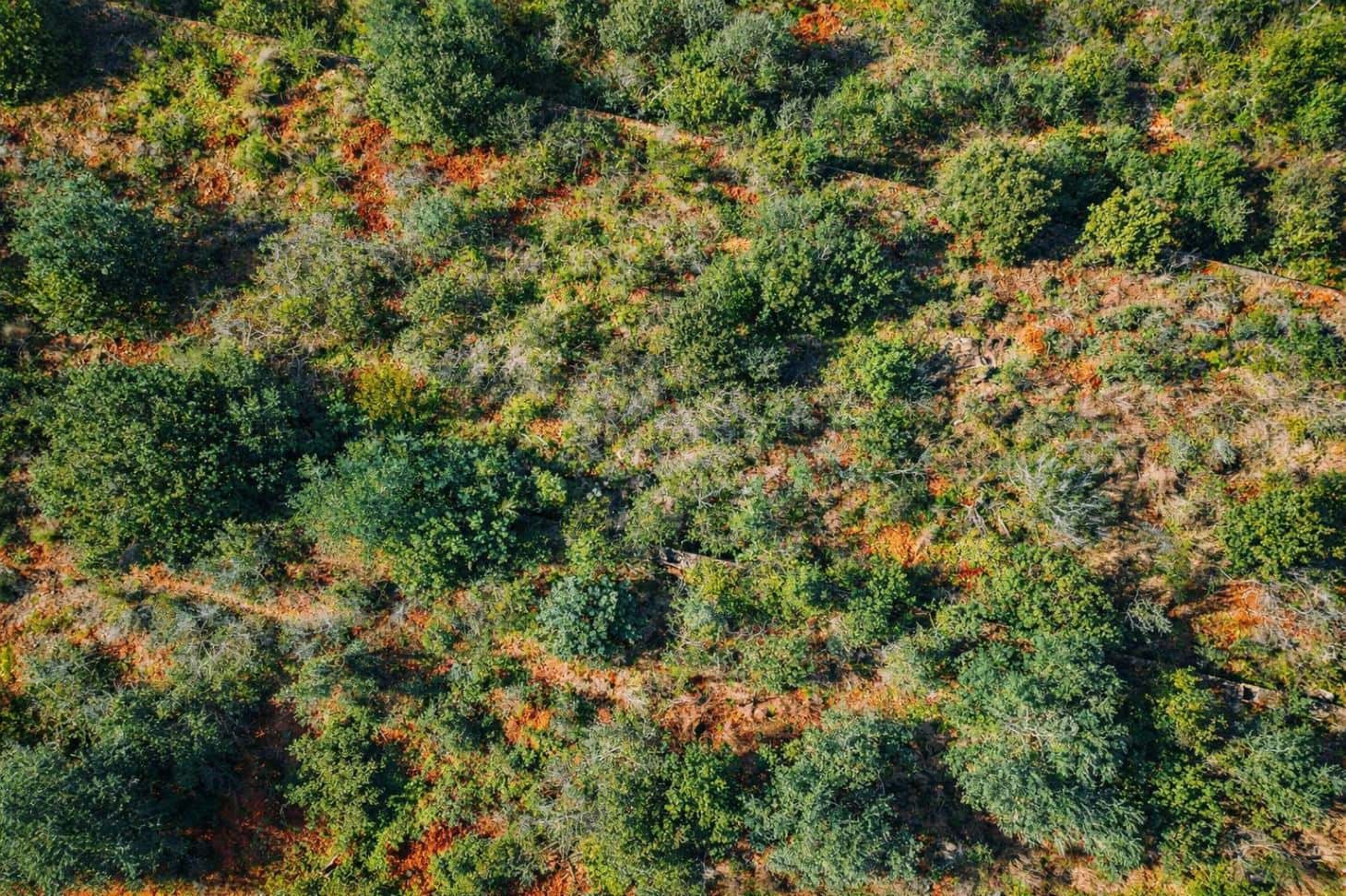 Building Plot for sale in L'Atzuvia - € 92,000 (Ref: 9839933)