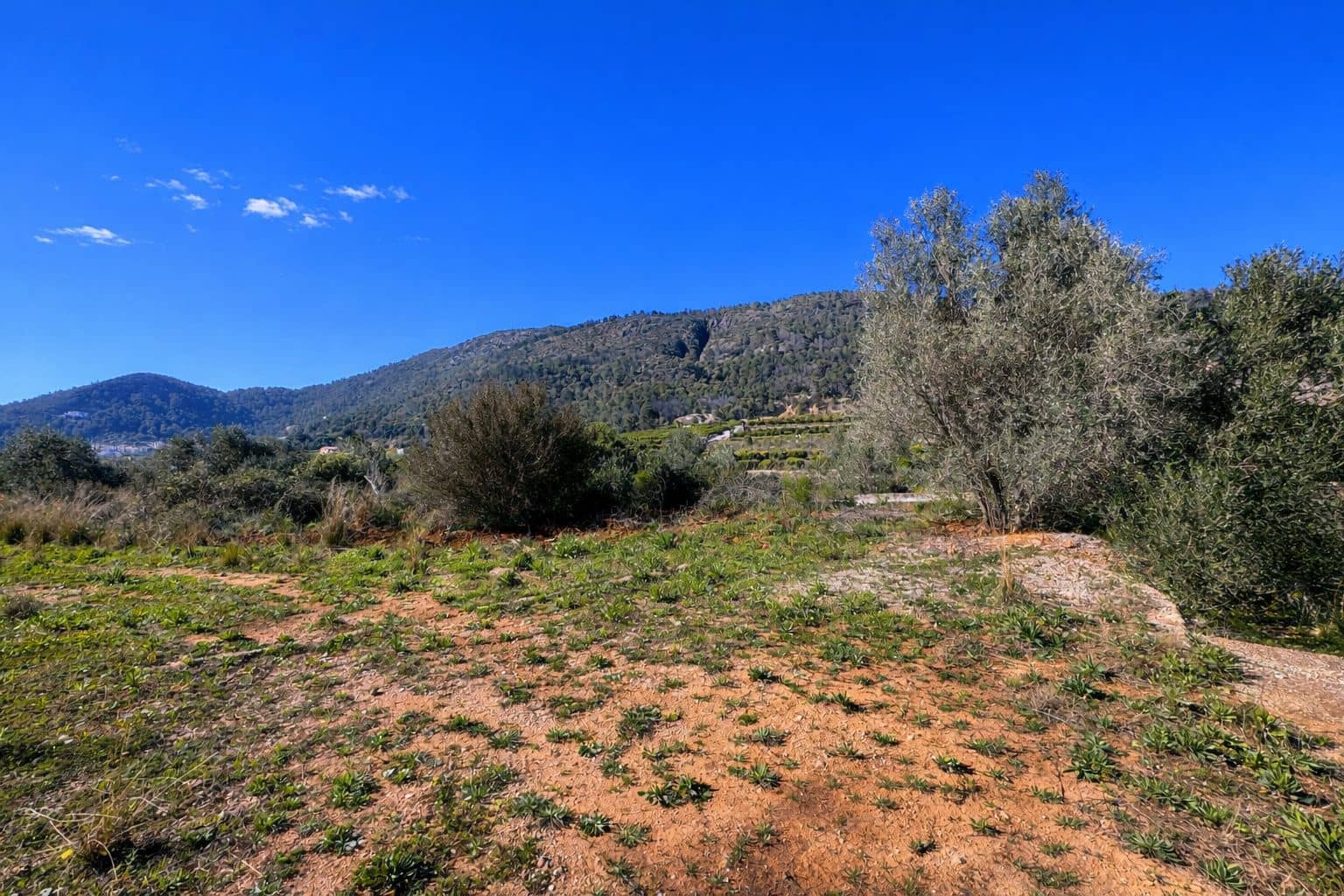 Building Plot for sale in L'Atzuvia - € 92,000 (Ref: 9839933)