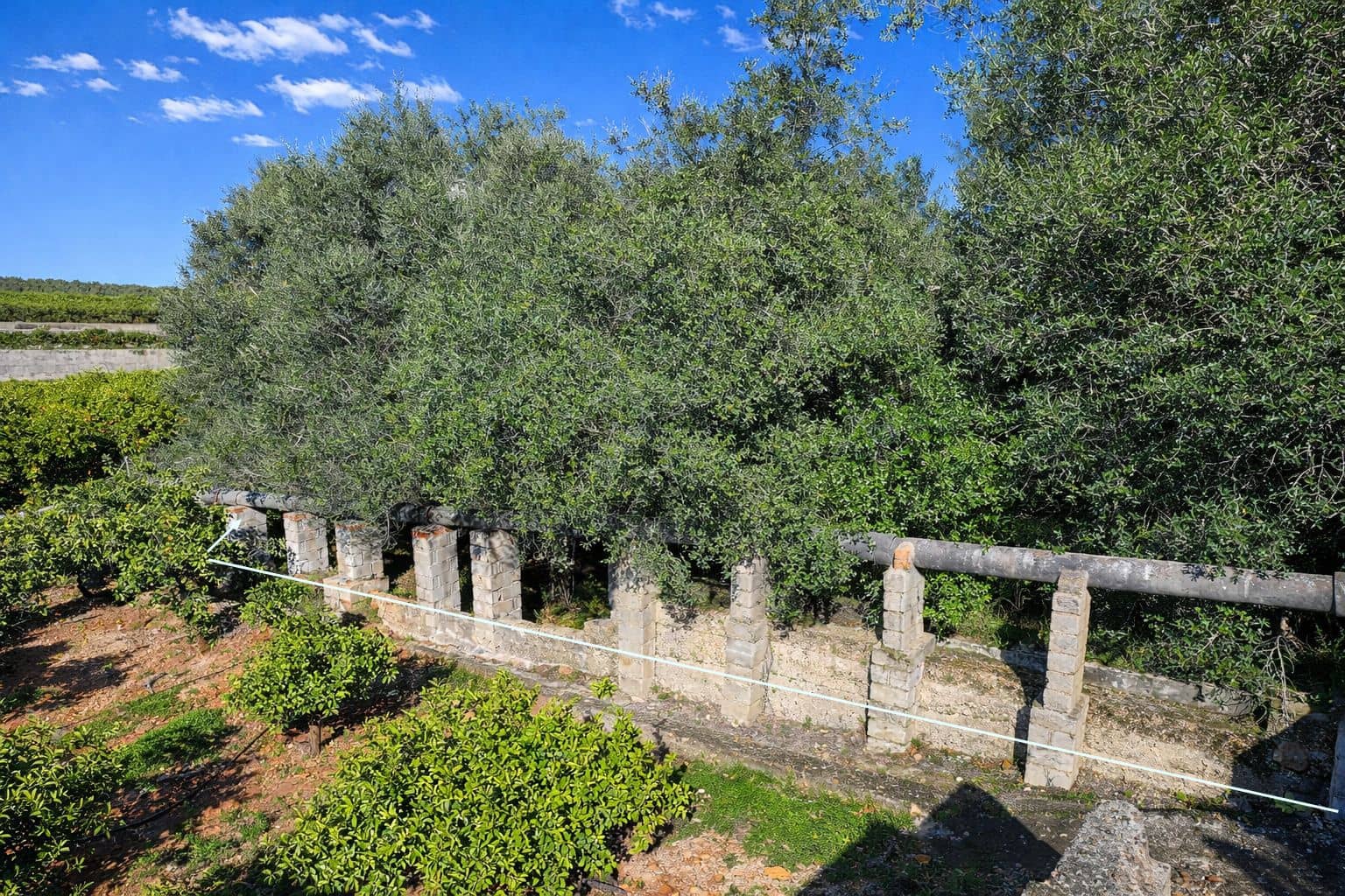 Building Plot for sale in L'Atzuvia - € 92,000 (Ref: 9839933)
