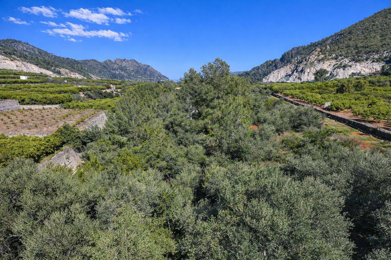 Building Plot for sale in L'Atzuvia - € 92,000 (Ref: 9839933)