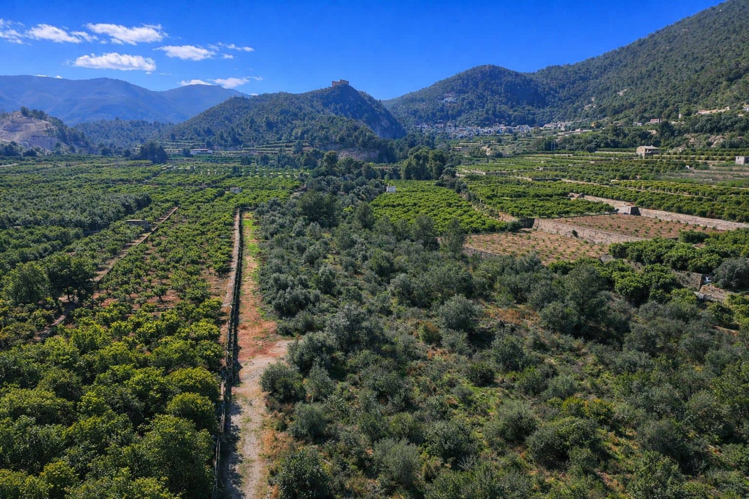 Building Plot for sale in L'Atzuvia - € 92,000 (Ref: 9839933)