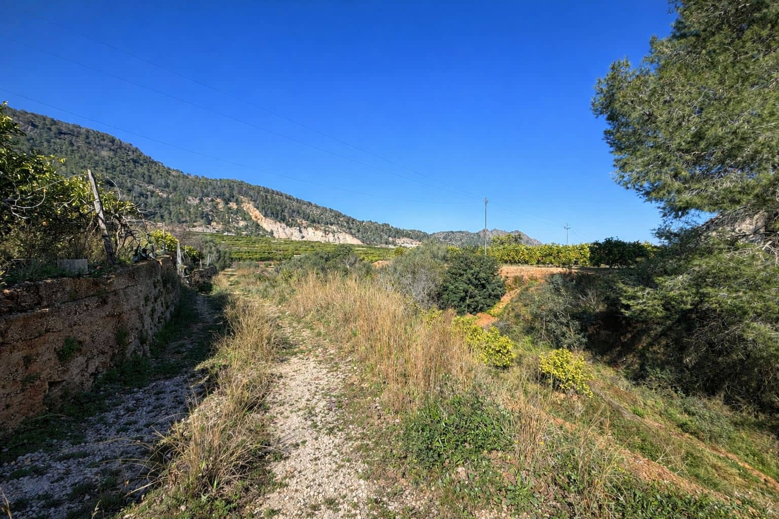 Building Plot for sale in L'Atzuvia - € 92,000 (Ref: 9839933)