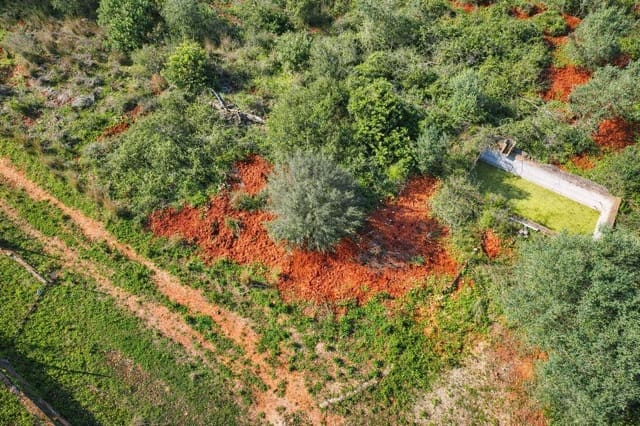Terreno para Construção para venda em L'Atzúvia - 92 000 € (Ref: 9839933)