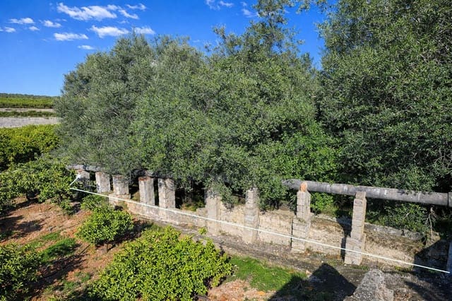 Terreno para Construção para venda em L'Atzúvia - 92 000 € (Ref: 9839933)