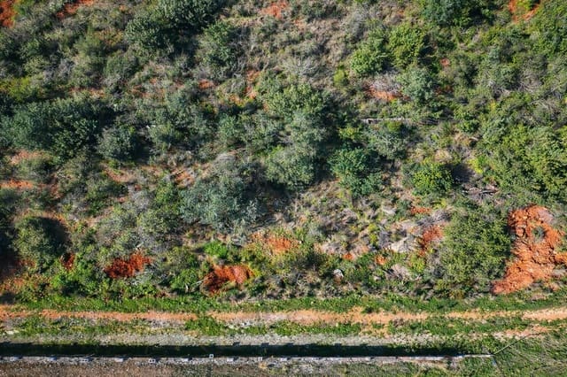 Terreno para Construção para venda em L'Atzúvia - 92 000 € (Ref: 9839933)