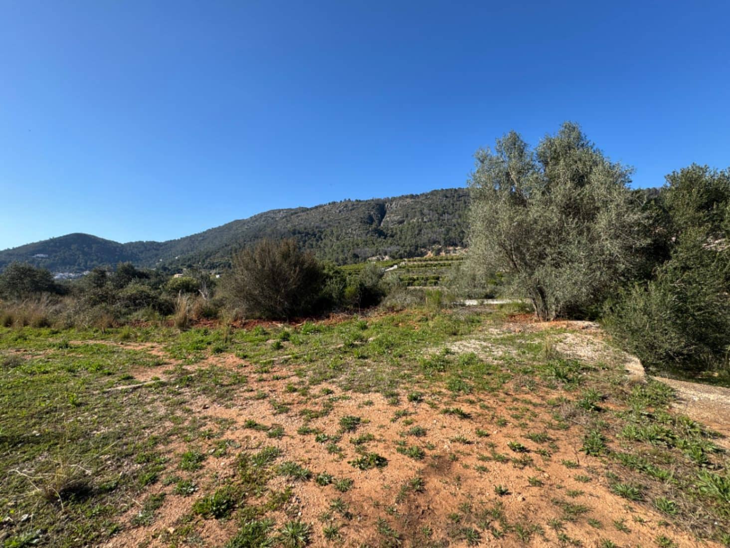 Building Plot for sale in L'Atzuvia - € 92,000 (Ref: 9839933)
