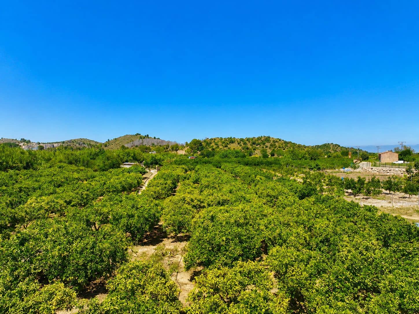 Terreno para Construção para venda em Pego - 21 000 € (Ref: 9917615)