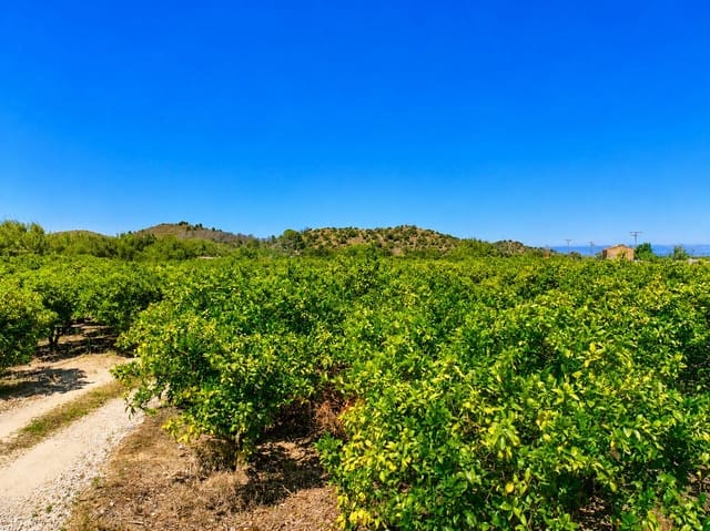 Terreno para Construção para venda em Pego - 21 000 € (Ref: 9917615)