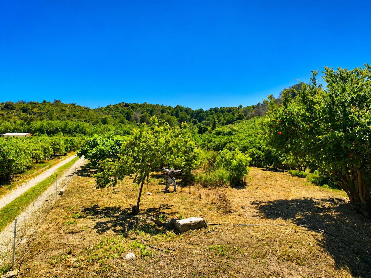 Terreno para Construção para venda em Pego - 21 000 € (Ref: 9917615)