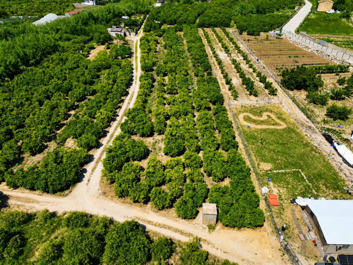 Terreno para Construção para venda em Pego - 21 000 € (Ref: 9917615)