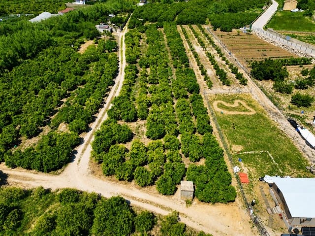 Terreno para Construção para venda em Pego - 21 000 € (Ref: 9917615)