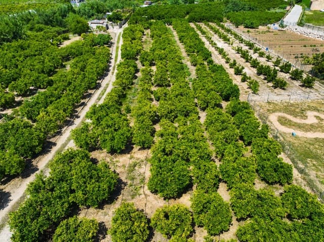 Terreno para Construção para venda em Pego - 21 000 € (Ref: 9917615)