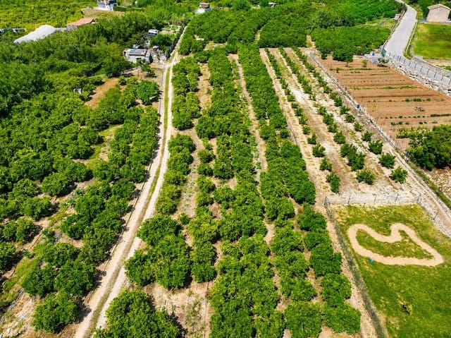 Terreno para Construção para venda em Pego - 21 000 € (Ref: 9917615)