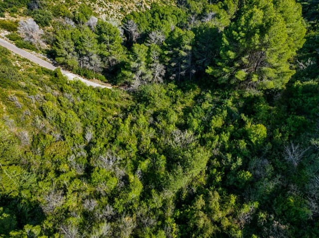 Grunde uden byggetilladelser til salg i Pego - € 180.000 (Ref: 9922651)
