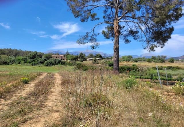 Building Plot for sale in Costitx - € 610,000 (Ref: 9146164)