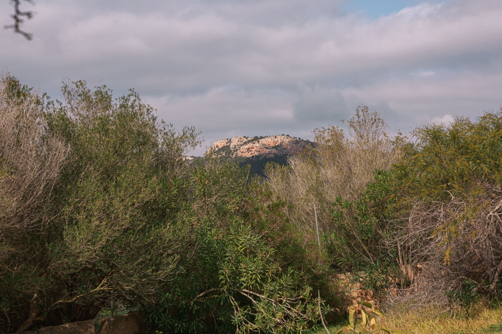 5 soverom Finca/Herregård til salgs i Cala Murada med svømmebasseng garasje - € 1 750 000 (Ref: 9146199)