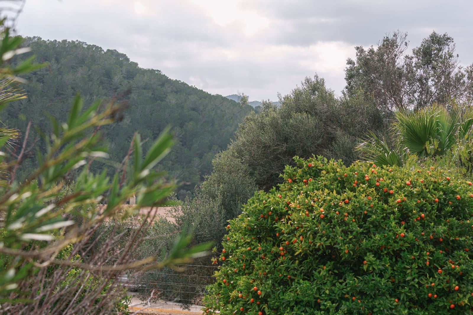 5 soverom Finca/Herregård til salgs i Cala Murada med svømmebasseng garasje - € 1 750 000 (Ref: 9146199)