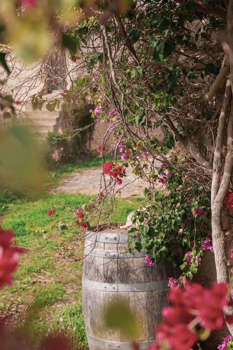 5 soverom Finca/Herregård til salgs i Cala Murada med svømmebasseng garasje - € 1 750 000 (Ref: 9146199)