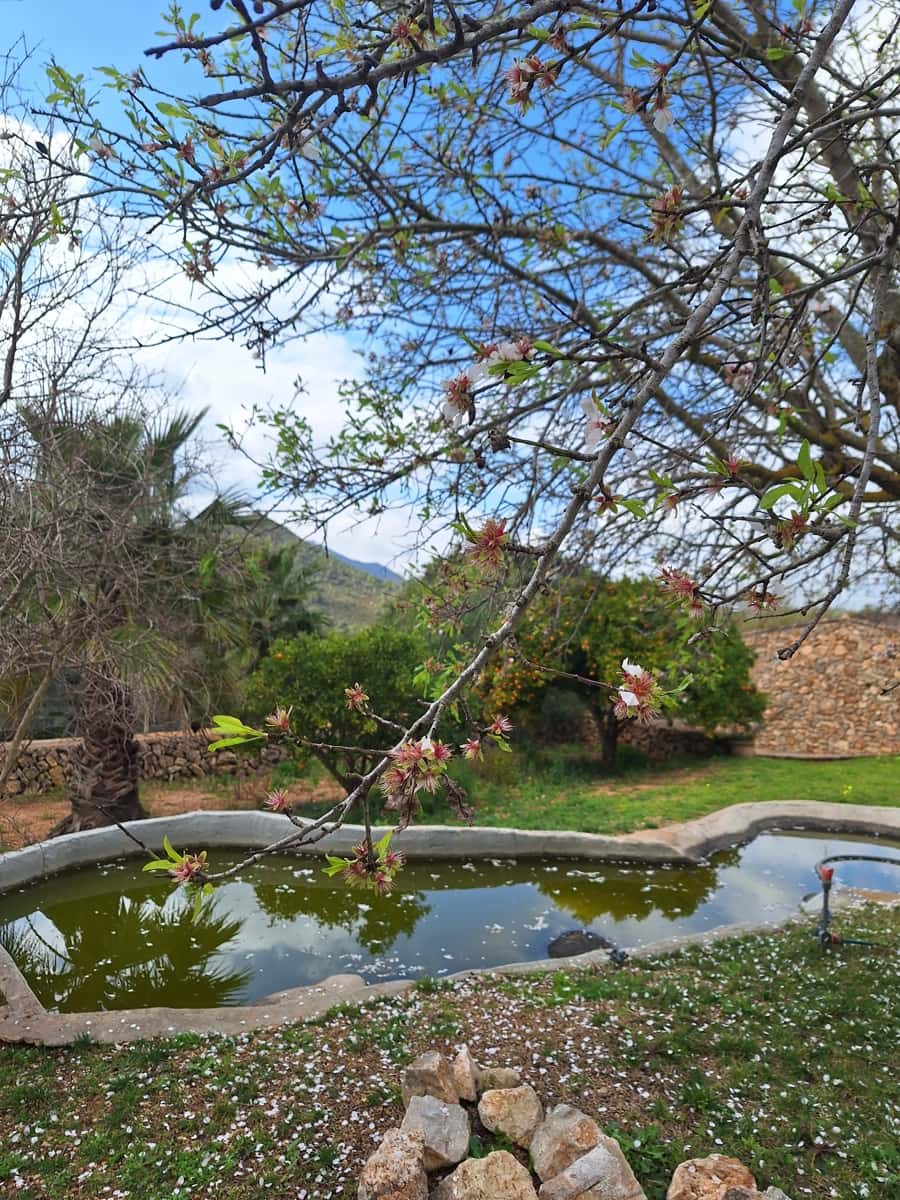 5 soverom Finca/Herregård til salgs i Cala Murada med svømmebasseng garasje - € 1 750 000 (Ref: 9146199)