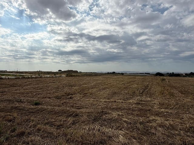 Grond te koop in Roldan, Torre-Pacheco - € 187.000 (Ref: 10060276)