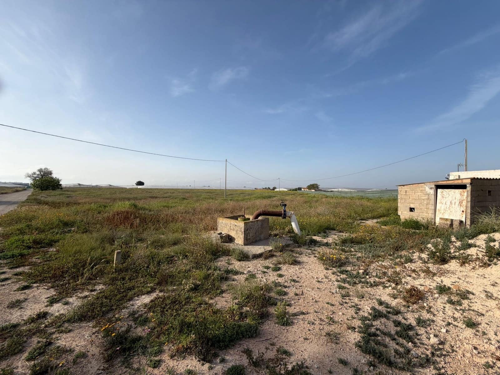 Ubebygd land til salgs i Dolores De Pacheco - € 770 000 (Ref: 10060281)