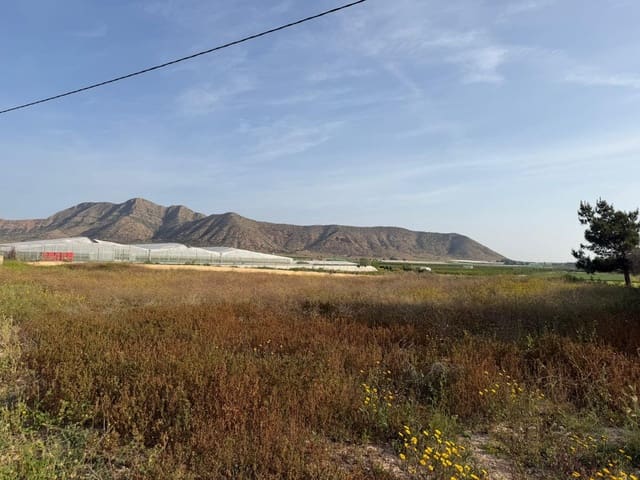 Ubebygd land til salgs i Dolores De Pacheco, Torre-Pacheco - € 770 000 (Ref: 10060281)