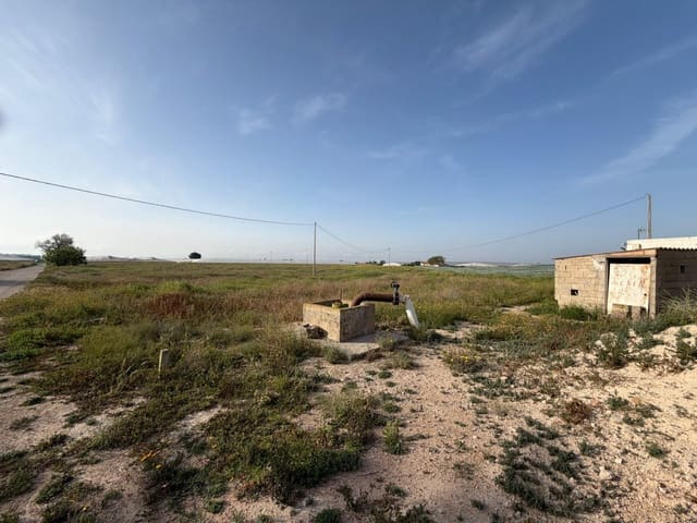 Ubebygd land til salgs i Dolores De Pacheco, Torre-Pacheco - € 770 000 (Ref: 10060281)