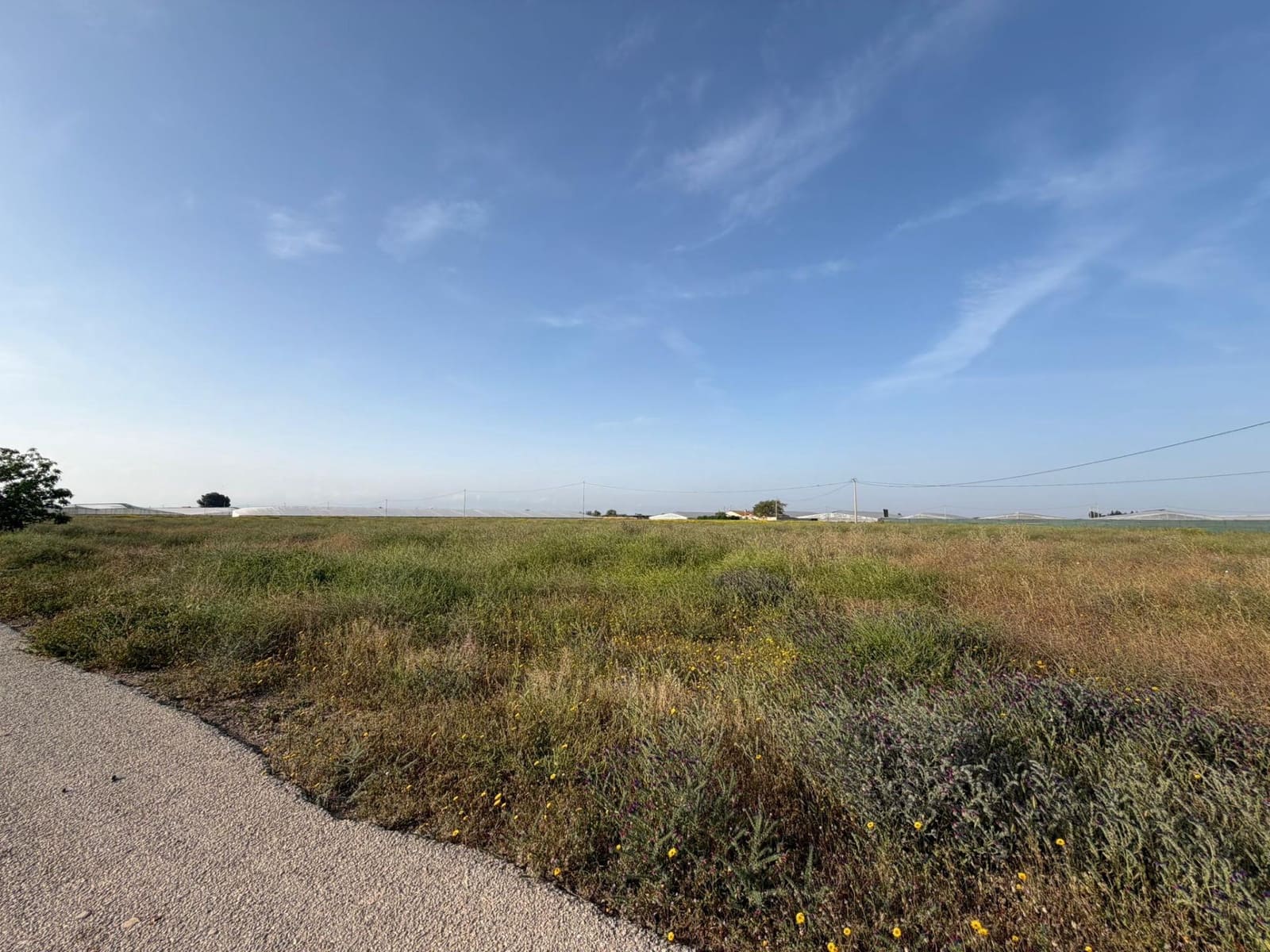 Ubebygd land til salgs i Dolores De Pacheco - € 770 000 (Ref: 10060281)