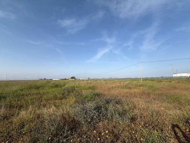 Ubebygd land til salgs i Dolores De Pacheco, Torre-Pacheco - € 770 000 (Ref: 10060281)