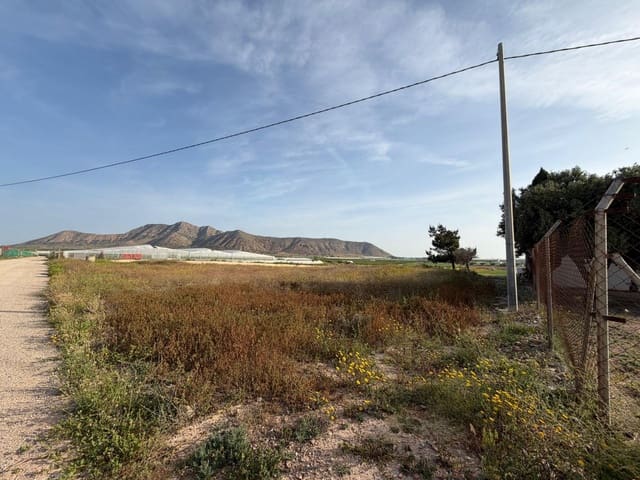 Ubebygd land til salgs i Dolores De Pacheco, Torre-Pacheco - € 770 000 (Ref: 10060281)