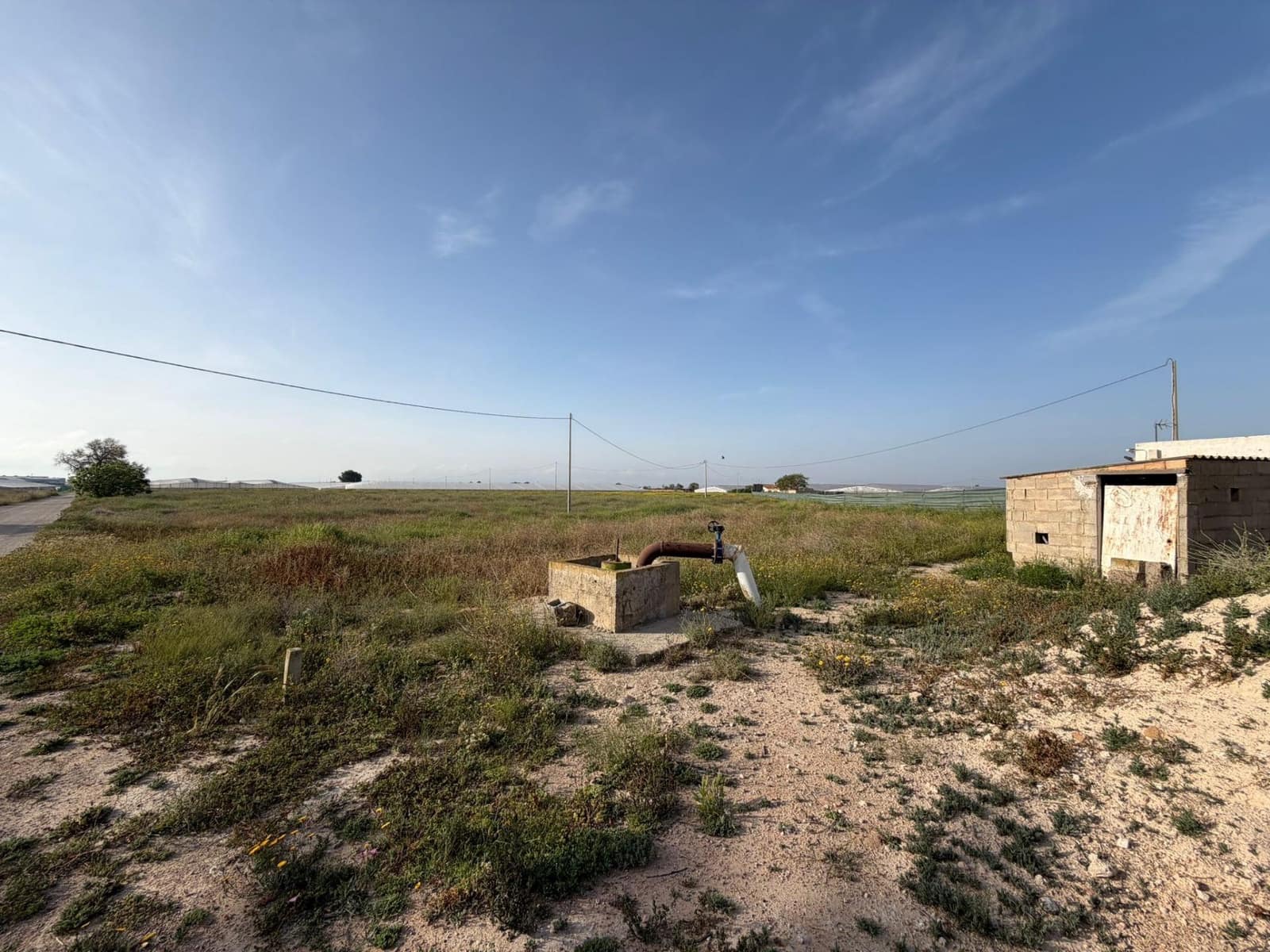 Ubebygd land til salgs i Dolores De Pacheco - € 770 000 (Ref: 10060281)