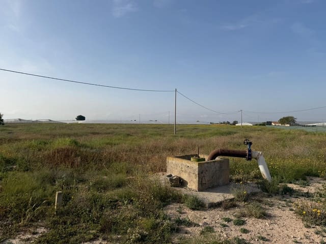 Ubebygd land til salgs i Dolores De Pacheco, Torre-Pacheco - € 770 000 (Ref: 10060281)