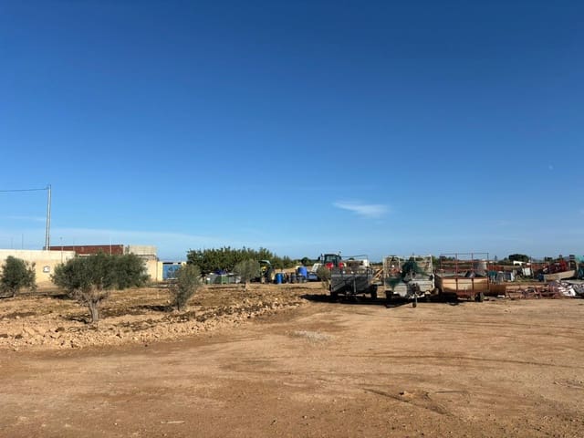 Ubebygd land til salgs i Torre-Pacheco - € 15 000 (Ref: 10060327)