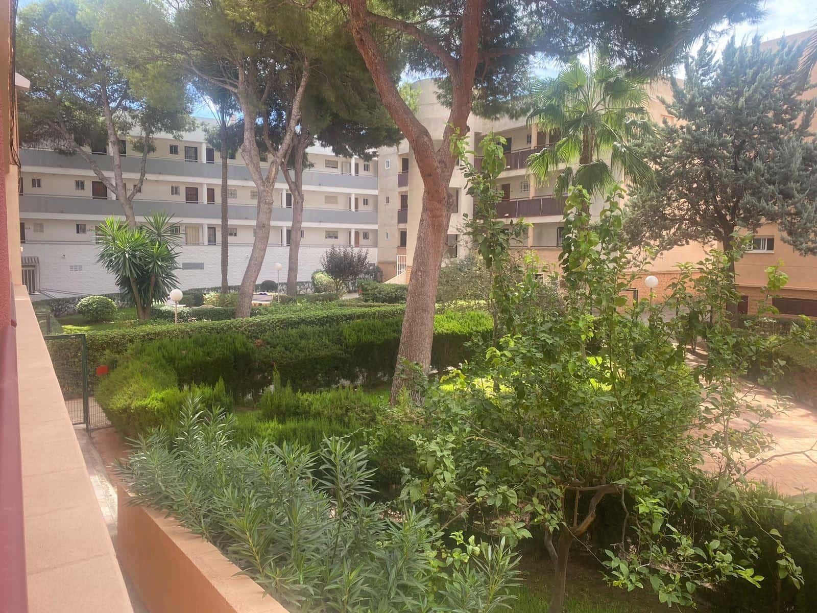 1 camera da letto Appartamento da affittare in Pilar de la Horadada con piscina - 700 € (Rif: 10062180)
