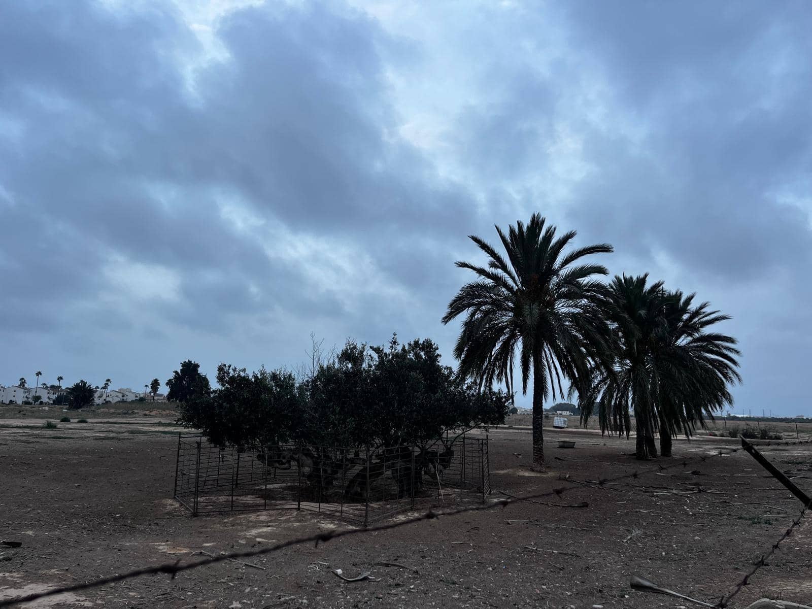 Solar/Parcela en San Javier en alquiler - 800 € (Ref: 10136271)