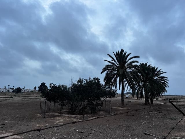 Solar/Parcela en San Javier en alquiler - 800 € (Ref: 10136271)