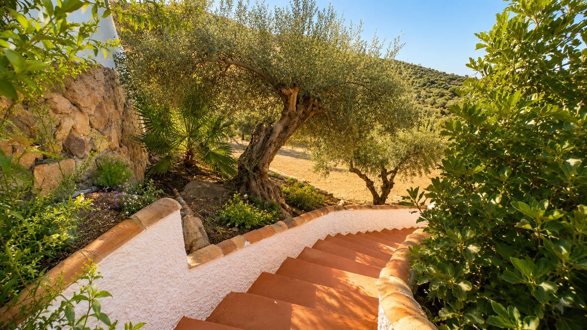 5 sypialnia Finka/Dom wiejski na sprzedaż w Puerto de la Torre z basenem - 700 000 € (Ref: 10036332)