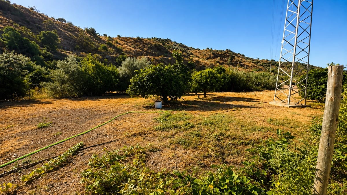 5 sypialnia Finka/Dom wiejski na sprzedaż w Puerto de la Torre z basenem - 700 000 € (Ref: 10036332)